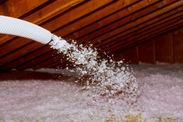 Best Cellulose Insulation  in Thomasville, NC