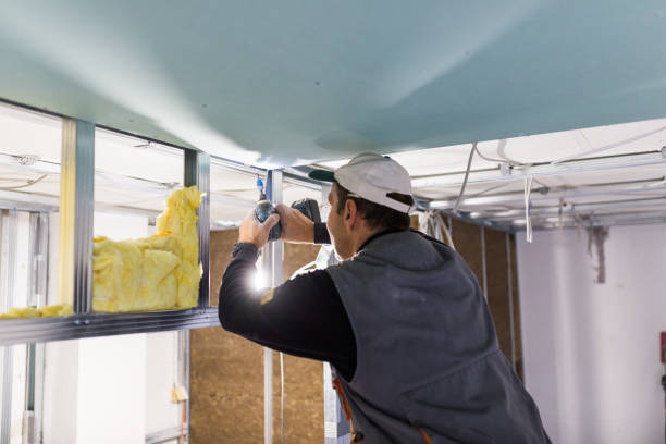 Best Residential Insulation Services  in Thomasville, NC