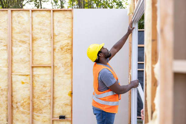 Best Home Insulation Services  in Thomasville, NC