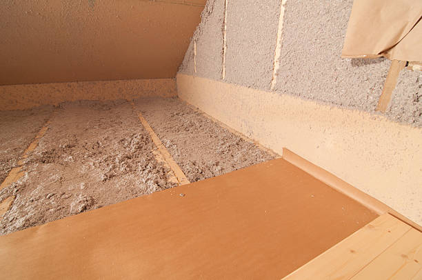 Best Energy-efficient Insulation  in Thomasville, NC